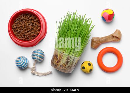 Composizione piatta con giocattoli per animali domestici e cibo su sfondo bianco Foto Stock