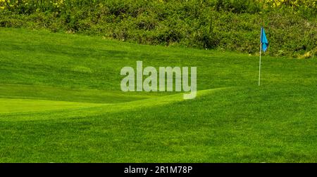 Putting green with a flag in un campo da golf in una giornata estiva. Campo da golf in campagna. messa a fuoco selettiva, nessuno, copia spazio. Campo da golf con a ri Foto Stock
