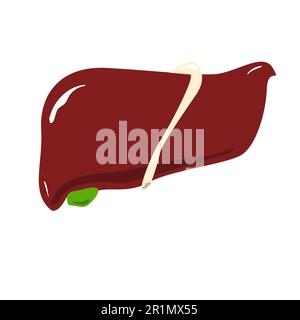 icona isolata di colore del fegato umano in uno stile piatto Illustrazione Vettoriale
