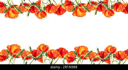 cornice orizzontale acquerello con papaveri, fiori di campo rossi disegnati a mano, illustrazione estiva di fiori scarlatto isolati su sfondo bianco. Foto Stock