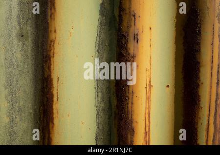 Rivestimento in argento di ferro ondulato patina e vernice verde sbucciata Foto Stock