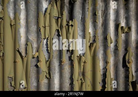 Rivestimento in argento di ferro ondulato patina e vernice verde sbucciata Foto Stock