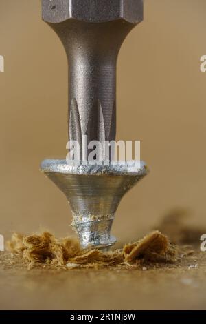 Punta Torx per forare la vite piccola sul legno, macro primo piano. Foto Stock