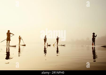 Un gruppo di pagaianti in standup su una mattina nebbiosa all'alba Foto Stock