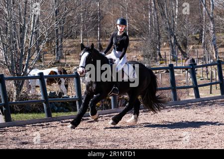 DRESSAGE, YOUTH, PONY: Youth Invitational Dressage Event on a pony nelle Isole Åland, Finlandia. Aprile 2023. Foto Stock