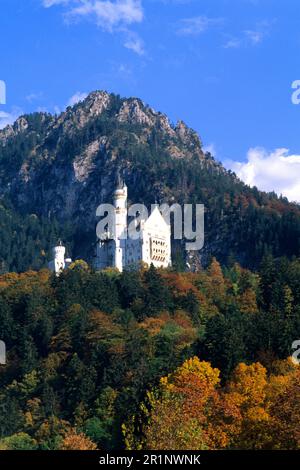 Il Castello di Neuschwanstein incastonato nelle alpi bavaresi Fussen Germania Foto Stock