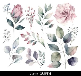 Set di fiori acquerelli foglie e ramoscelli su sfondo bianco Illustrazione Vettoriale