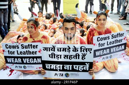 PETA protesta, persone per il trattamento etico degli animali, indossare vegan, mucche soffrono per il cuoio, Nuova Delhi, India, 25 maggio 2017 Foto Stock