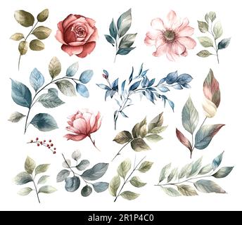 Set di fiori acquerelli foglie e ramoscelli su sfondo bianco Illustrazione Vettoriale