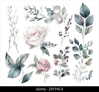 Set di fiori acquerelli foglie e ramoscelli su sfondo bianco Illustrazione Vettoriale