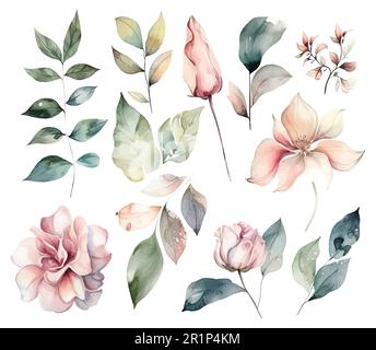 Set di fiori acquerelli foglie e ramoscelli su sfondo bianco Illustrazione Vettoriale
