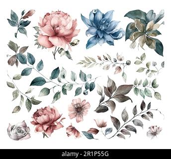 Set di fiori acquerelli foglie e ramoscelli su sfondo bianco Illustrazione Vettoriale