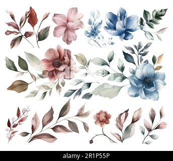 Set di fiori acquerelli foglie e ramoscelli su sfondo bianco Illustrazione Vettoriale