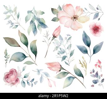 Set di fiori acquerelli foglie e ramoscelli su sfondo bianco Illustrazione Vettoriale
