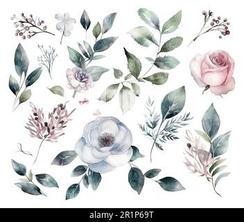 Set di fiori acquerelli foglie e ramoscelli su sfondo bianco Illustrazione Vettoriale