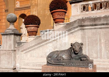 Leone Egiziano, cortile della Pigna, Corte del cono Pino, Musei Vaticani, Vaticano, Roma, Lazio, Italia, Europa, Città del Vaticano Foto Stock