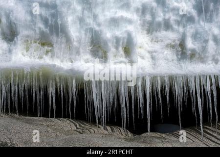 Antartide, Mare di Amundsen, Pine Island Bay, Isole Brownson, 74° S. Icicle lungo il litorale. Foto Stock