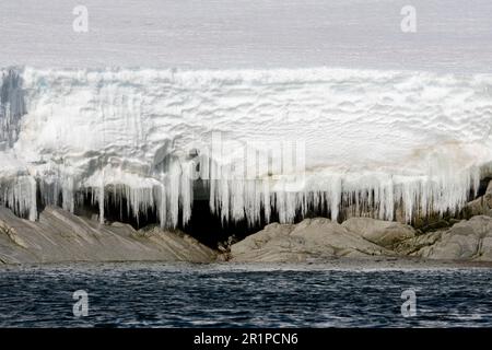 Antartide, Mare di Amundsen, Pine Island Bay, Isole Brownson, 74° S. Icicle lungo il litorale. Foto Stock