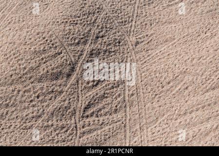 Australia Occidentale, Arcipelago di Buccaneer, Collier Bay, Freshwater Cove aka Winjingarra Bard Bard. Piste di granchio eremita. Foto Stock