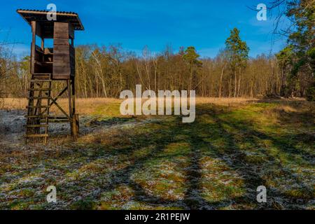 Alto stand per cacciatori in legno ai margini della foresta, con vista su un grande prato Foto Stock