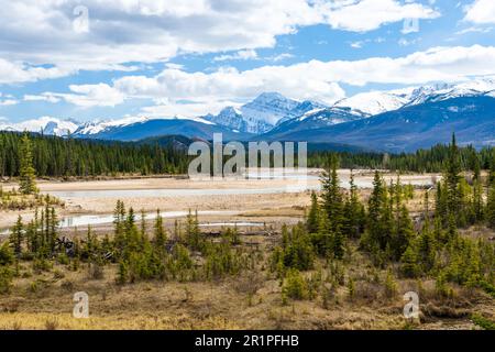 Canadian Rockies Jasper National Park, splendido paesaggio naturale. Fiume Athabasca, montagne innevate in estate. Alberta, Canada. Monte Edith Cavell. Foto Stock