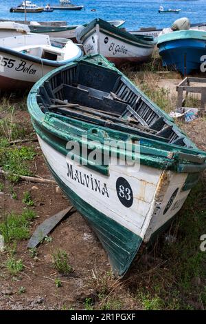 Cile, Arcipelago Juan Fernandez, Isola Robinson Crusoe, Cumberland Bay, villaggio di San Juan Bautista. Foto Stock