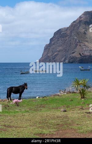 Cile, Arcipelago Juan Fernandez, Isola Robinson Crusoe, Cumberland Bay, villaggio di San Juan Bautista. Foto Stock