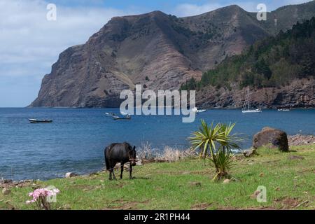 Cile, Arcipelago Juan Fernandez, Isola Robinson Crusoe, Cumberland Bay, villaggio di San Juan Bautista. Foto Stock