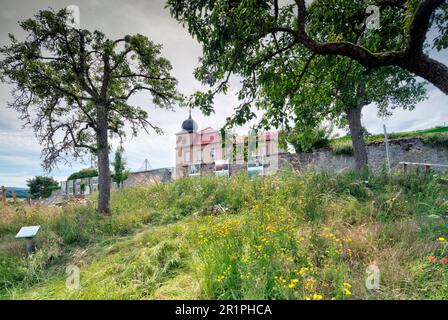 Prato Orchard, Propstei Zella, architettura, facciata della casa, vista sul villaggio, Summer, Zella, Rhön, Wartburgkreis, Turingia, Germania, Europa, Foto Stock