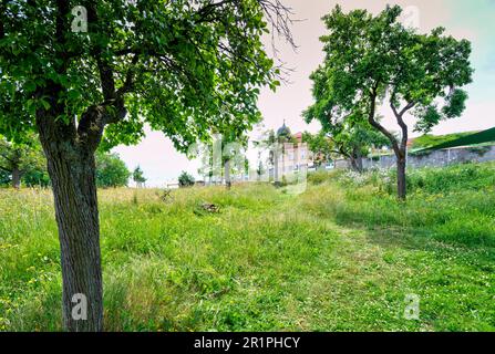 Prato Orchard, Propstei Zella, architettura, facciata della casa, vista sul villaggio, Summer, Zella, Rhön, Wartburgkreis, Turingia, Germania, Europa, Foto Stock