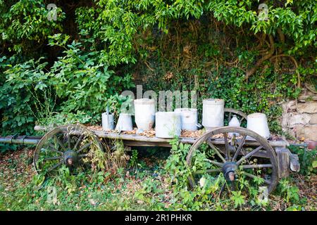 Giardino del monastero, Propstei Zella, giardino, botanica, estate, Vista sul villaggio, Zella, Rhön, Wartburgkreis, Turingia, Germania, Europa, Foto Stock