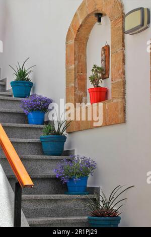 Ingresso casa, scale, sorgono con vasi di fiori, Lindos, Rodi, Grecia, Europa Foto Stock