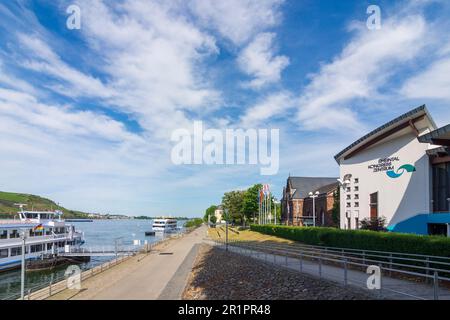 Bingen am Rhein, passeggiata Rheinpromenade, centro congressi Rheintal Kongress Zentrum, fiume Rhein (Reno) a Rheintal, Renania-Palatinato, Germania Foto Stock