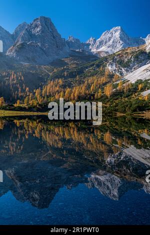 Lago Seebensee, Monti Mieminger, Ehrwald, Tirolo, Austria, Autunno Foto Stock