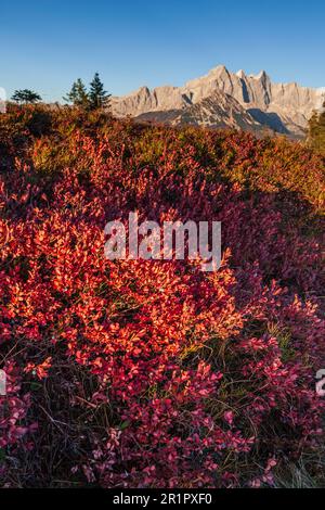 Vista da Roßbrand a Hoher Dachstein, Monti Dachstein, Salisburgo, Austria Foto Stock