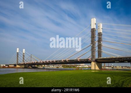 Duisburg, Renania settentrionale-Vestfalia, Germania - Neuenkamp Rhine Bridge cantiere, autostrada A40 nuova costruzione ponte, il nuovo ponte di fronte e. Foto Stock