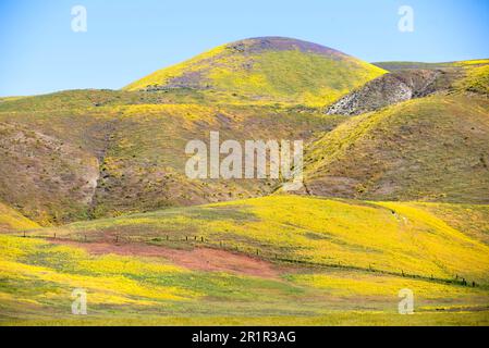 Viste della catena montuosa TEMBLOR, parte della catena costiera californiana, nelle contee di San Luis Obispo e Kern. Fotografato in primavera. Foto Stock