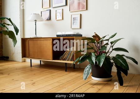 Parte di spaziosa stanza o ufficio con piante verdi in vasi da fiori in piedi sul pavimento e lampada sul tavolo della console con dischi in vinile nel cassetto Foto Stock