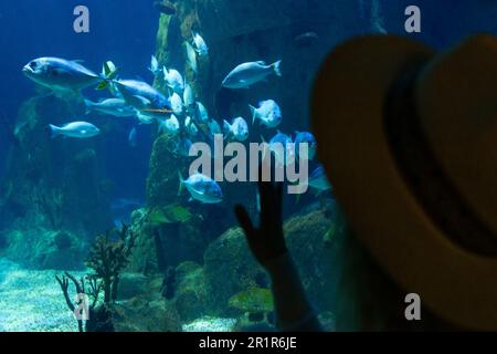 Una giovane donna tocca un pesce di razza in un tunnel oceanarium Foto Stock