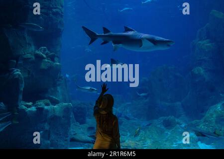 Una giovane donna tocca un pesce di razza in un tunnel oceanarium Foto Stock