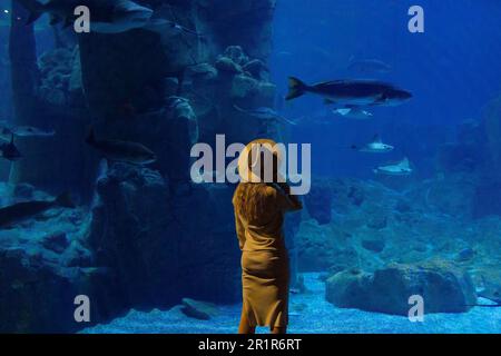 Una giovane donna tocca un pesce di razza in un tunnel oceanarium Foto Stock