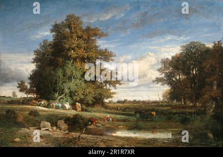 La palude Data: 1840 artista: Constant Troyon Francese, 1810-1865 Foto Stock