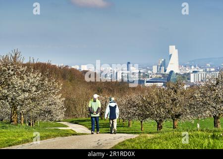 Coppia escursionistica sulla Rütihard vicino a Mutten BL con vista sulla città di Basilea. Svizzera Foto Stock