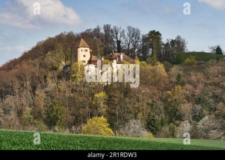 Lo storico Castello di Wildenstein, vicino a Bubendorf BL, in Svizzera Foto Stock