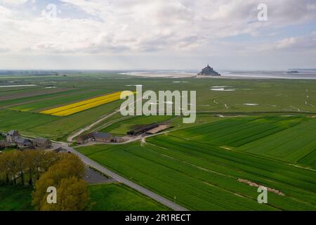 Vista distante di Mont Saint-Michel, Normandia, Francia Foto Stock