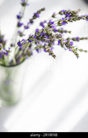 Primo piano di un vaso di vetro riempito con fiori di lavanda Foto Stock