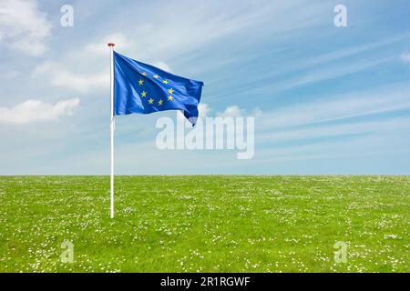 Sventolare la bandiera dell'Unione europea su un prato erboso con fiori in fiore Foto Stock