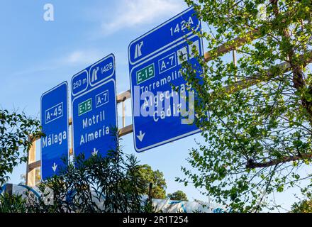 Indicazioni a uno svincolo autostradale a Malaga una grande città della provincia di Malaga, Andalusia, Spagna meridionale con alberi in primo piano. Foto Stock