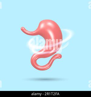 Sistema di stomaco sano. 3d organo umano. Illustrazione vettoriale realistica. Illustrazione Vettoriale