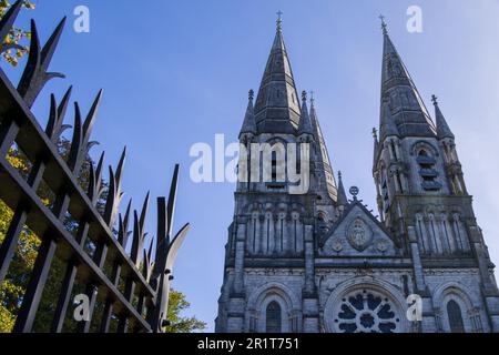 La facciata della cattedrale anglicana di Saint fin barre a Cork, Irlanda. Architettura neo-gotica. Due guglie. Foto Stock